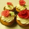 georginatrevi Cake Central Cake Decorator Profile