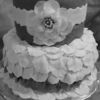 rachelcak3s Cake Central Cake Decorator Profile