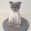 allaboutcakeuk Cake Central Cake Decorator Profile