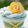 Cupcations Cake Central Cake Decorator Profile