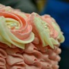 Dejah84  Cake Central Cake Decorator Profile