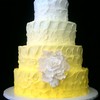 heidylbyrg Cake Central Cake Decorator Profile