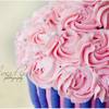 cindyw41 Cake Central Cake Decorator Profile