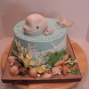 debidehm Cake Central Cake Decorator Profile