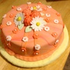 Missturkeysue Cake Central Cake Decorator Profile