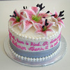 AnissaSC Cake Central Cake Decorator Profile