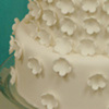 robint Cake Central Cake Decorator Profile