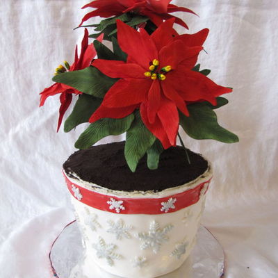 Top Poinsettia Cakes on Cake Central