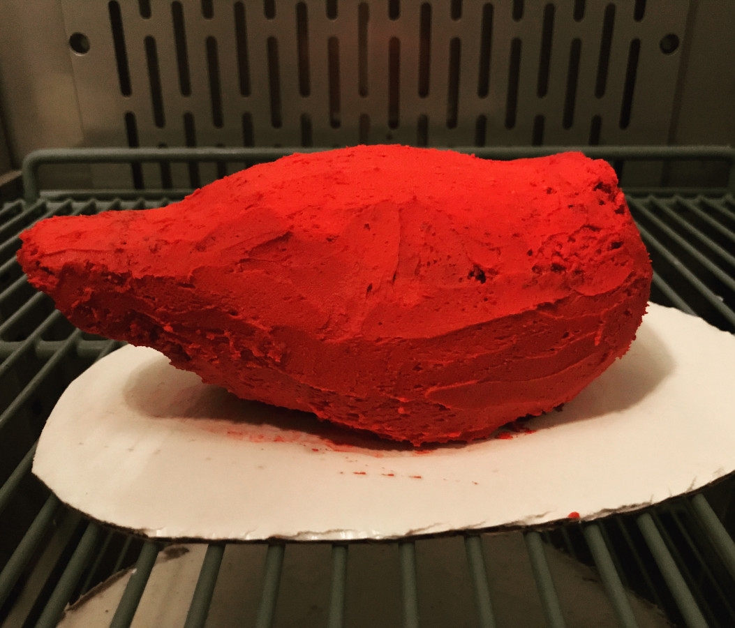 Modeling Chocolate In Florida?