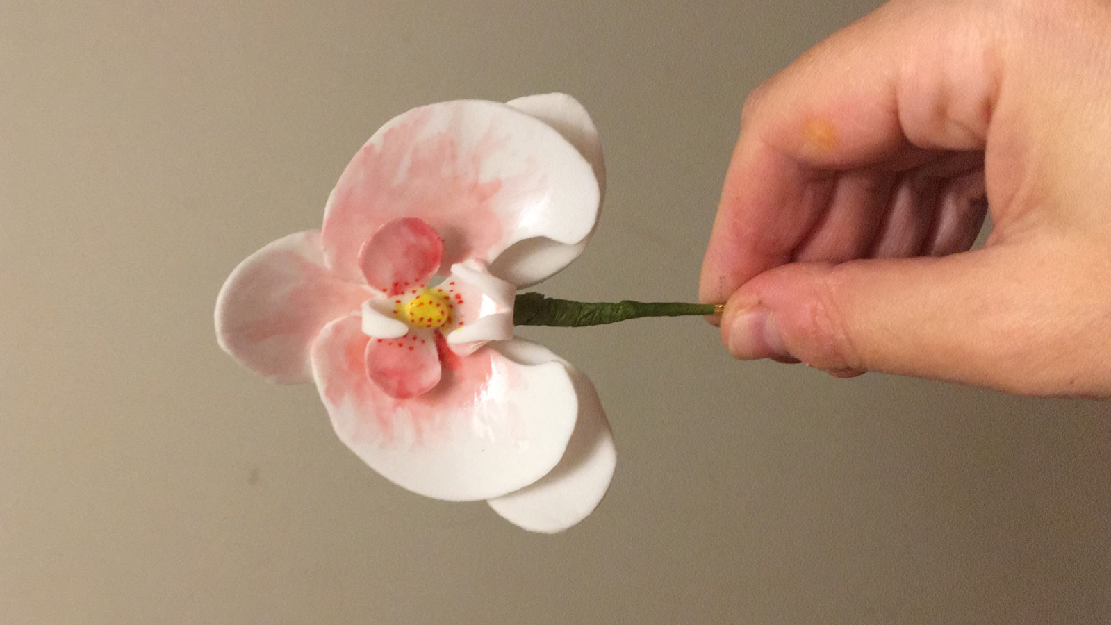 Would I Be Crazy To Attempt Orchids? And What Do I Need?