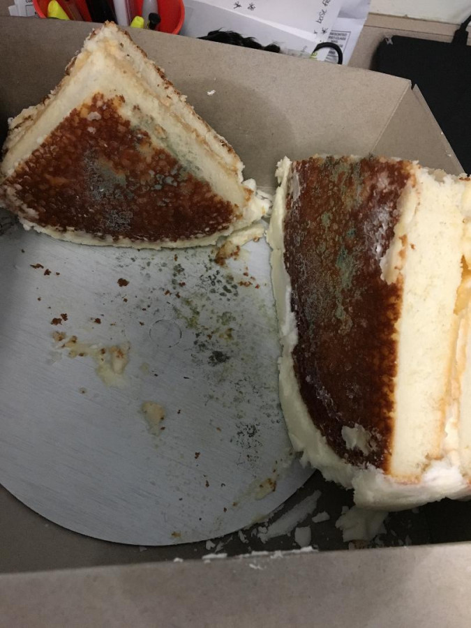 Buttercream Science Project?