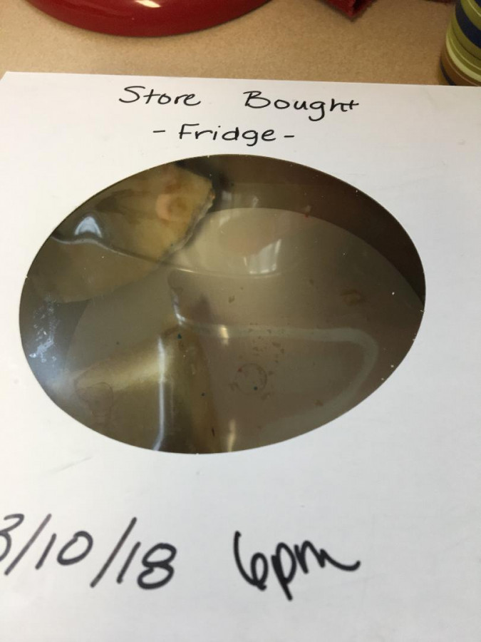 Buttercream Science Project?