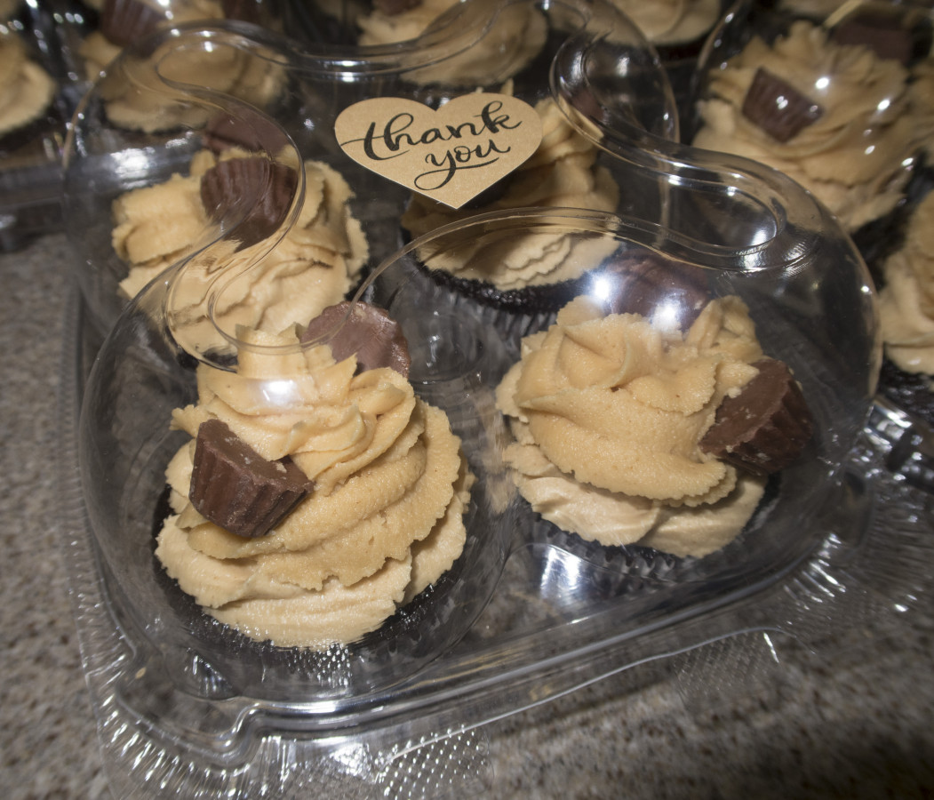 Becoming Discouraged In So Little Time!