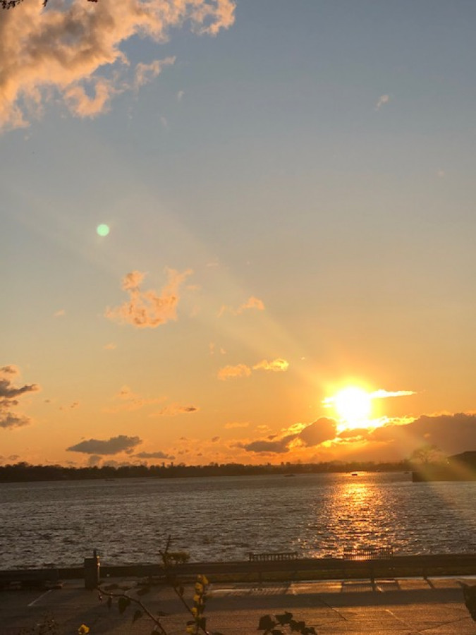 And I Think To Myself What A Wonderful World