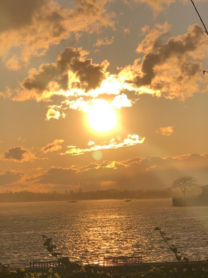 And I Think To Myself What A Wonderful World