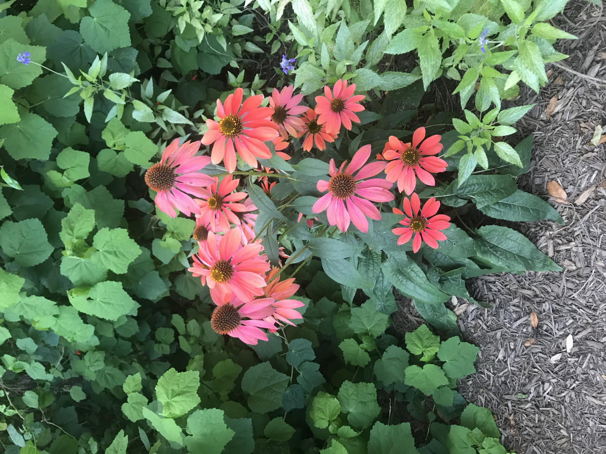 And I Think To Myself What A Wonderful World