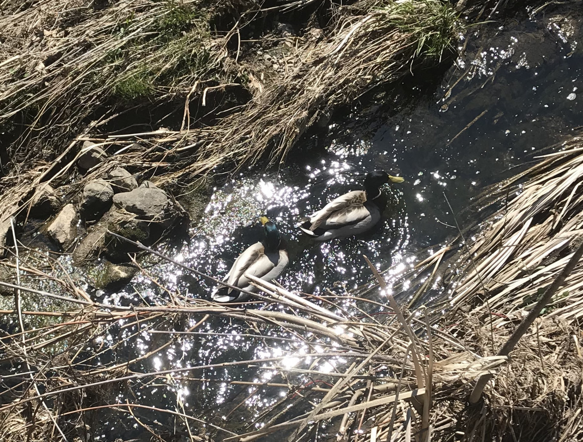 And I Think To Myself What A Wonderful World