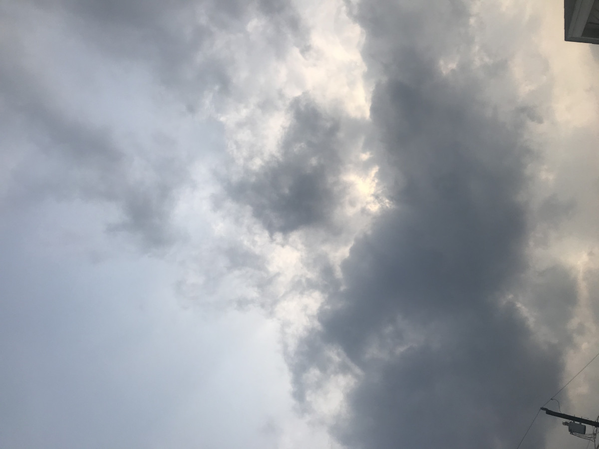 And I Think To Myself What A Wonderful World