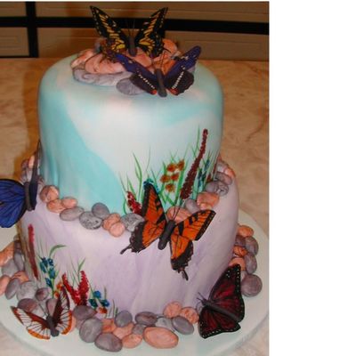 Butterflies Butterflies