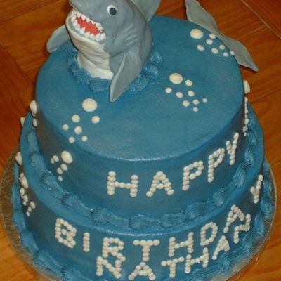 Shark Birthday Shark Birthday