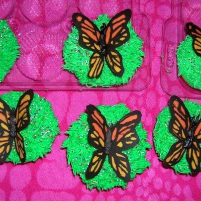 Monarch Butterflies Monarch Butterflies