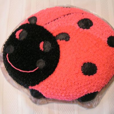 Wilton Course 1 Lesson 2 Pink Ladybug Cake on Cake Central