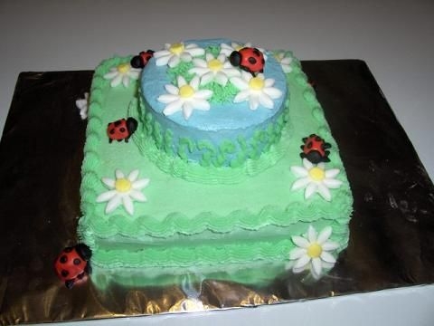 Ladybug Cake Ladybug Cake