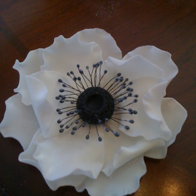 My First Anemone on Cake Central