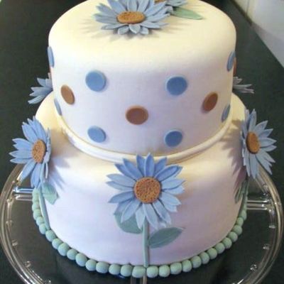 Blue & Brown Daisy Cake Blue & Brown Daisy Cake