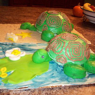 Turtle Birthday Cake Turtle Birthday Cake