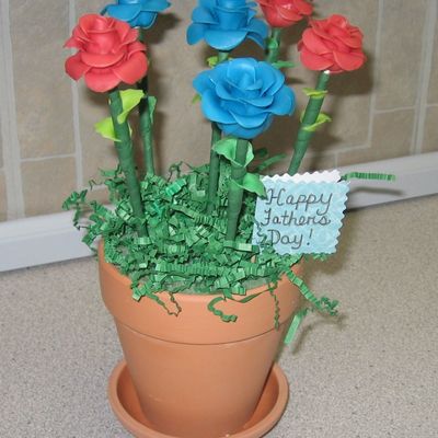 Double Bubble Roses Double Bubble Roses