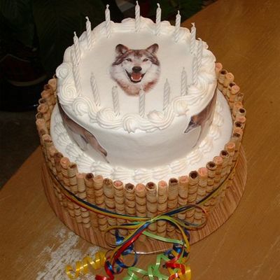 Wolf Birthday Cake Wolf Birthday Cake
