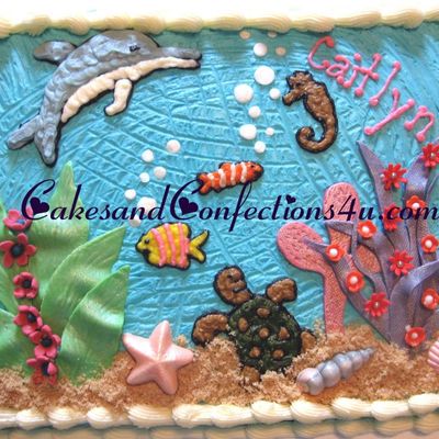 Under The Sea Animals & Shells Under The Sea Animals & Shells