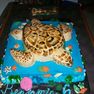 Sea Turtle Birthday Cake Sea Turtle Birthday Cake