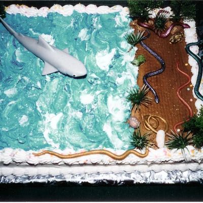 Evan's B/day Cake Evan's B/day Cake