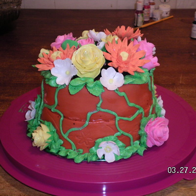 Fixed Cake Fixed Cake