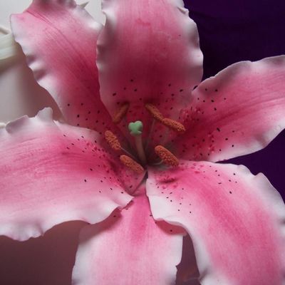 Stargazer Lily on Cake Central