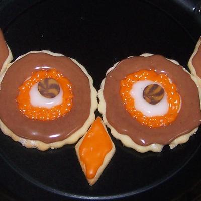 Owl Eyes! Owl Eyes!
