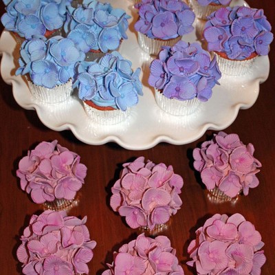 Hydrangeas Hydrangeas