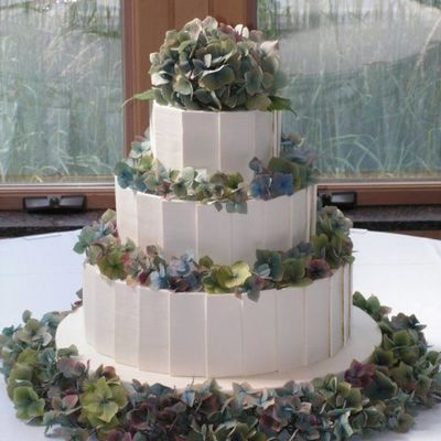Chocolate Panel Hydrangea Ck Chocolate Panel Hydrangea Ck