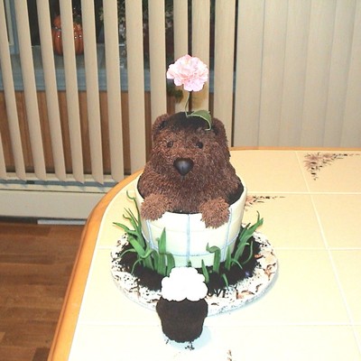 Groundhog Day Flower Pot Birthday Cake Groundhog Day Flower Pot Birthday Cake