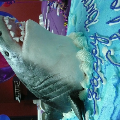 Great White Shark Cake Great White Shark Cake