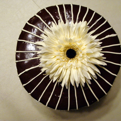 Chocolate Gerber Daisy Cake Chocolate Gerber Daisy Cake