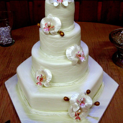 Traci's Cake Traci's Cake