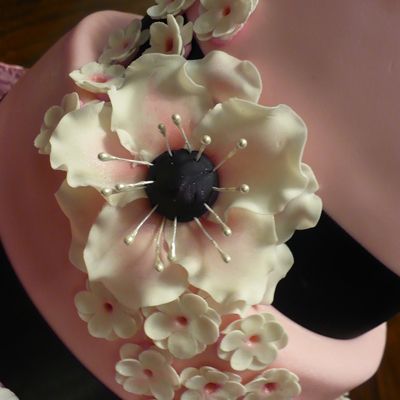 Sweet Sophistication Sweet Sophistication