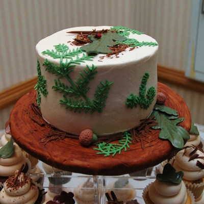 Forest Themed Wedding Rehearsal Cake And Cupcake Tower Forest Themed Wedding Rehearsal Cake And Cupcake Tower