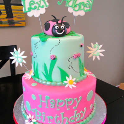 Lady Bug Cake Lady Bug Cake
