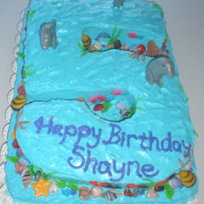 Shayne's Underwater Adventure Shayne's Underwater Adventure