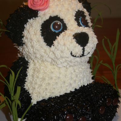 Little Panda Little Panda
