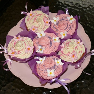 Cupcakes For Ocea! Cupcakes For Ocea!